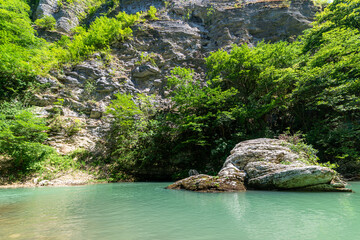 Mountain river with muddy water in forest or National park