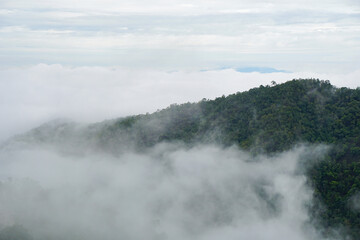 low white clouds lie on the green hills, forest and jungle of Northern Thailand