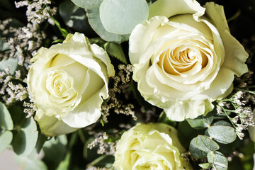 Bouquet of beautiful white roses. Perfect for greeting card background
