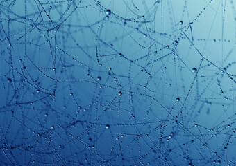 spiderweb natural rain pattern background,Cobweb with drops of rain pattern in blue light,Cobweb net texture with morning rain,Partial blur view lines spider web necklace,water drops,refreshment