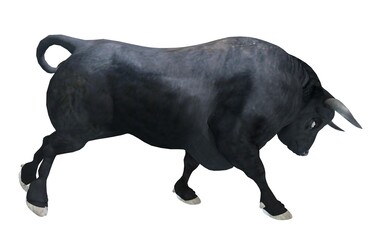 Black bull isolated on white background 3d illustration