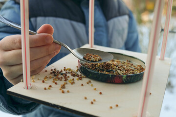 Boy adds grain to the bird feeder for wintering birds