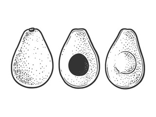 Avocado berry vegetable sketch raster illustration