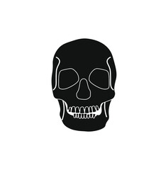 human skull on white background