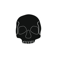 human skull on white background