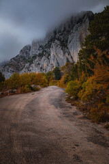 Landscape with beautiful empty mountain road , high rocks, trees and cloudy sky.