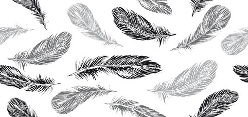 Set of bird feathers. Hand drawn sketch style.	