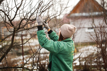 Caucasian woman gardener with garden tools, pruning fruit trees and bushes in the garden, seasonal...