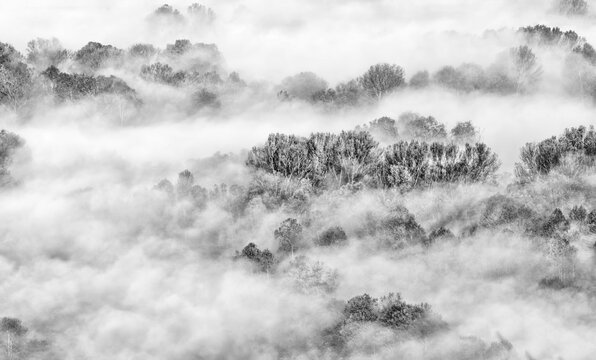 Aerial view over the misty forest at sunrise, fine art photography