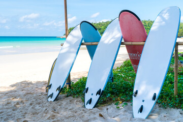 Many surfboards for rent  at summer beach with sunlight  blue sky.