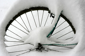 A bicycle tire collects snow in the winter.