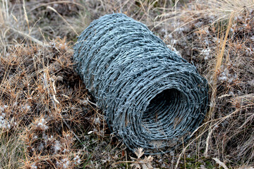 Razor wire mesh between thorns