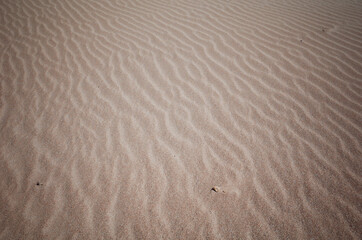 해변가 모래사장에 가득한 모래