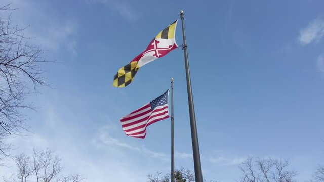 An American Flag and a Maryland Flag are waving in the air on a windy day. Slow motion footage shows both flags flying against blue sky. There are tree branches and a few clouds in the background