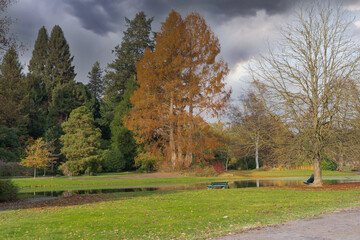 Beautiful autumn scene with a dramatic sky at a lake in the park in the Karlsaue in Kassel, Germany