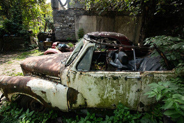 abandoned cars in the middle of the forest