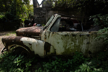 abandoned cars in the middle of the forest