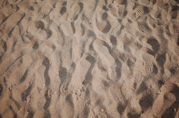 해변가 모래사장에 가득한 모래