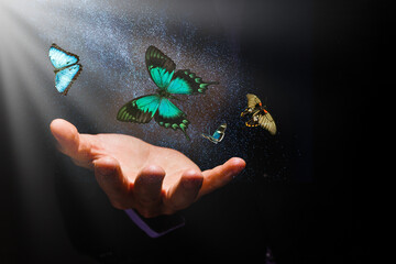 butterflies over hands on a black background and rays