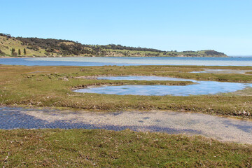 littoral at kingscote on kangaroo island (australia) 