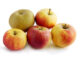 multicolor tasty aplles for eating or cooking