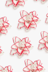 Pattern from blossoming delicate flowers of peony lily, white blooming lilies flower with red border.