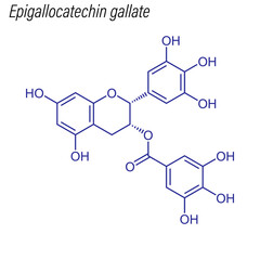 Vector Skeletal formula of Epigallocatechin gallate. Drug chemical molecule.
