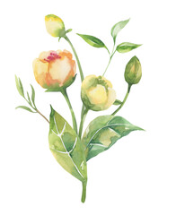 Watercolor floral illustration - leaves and branches frame with flowers and leaves for wedding stationary, greetings, wallpapers, background. Roses, green leaves. High quality illustration