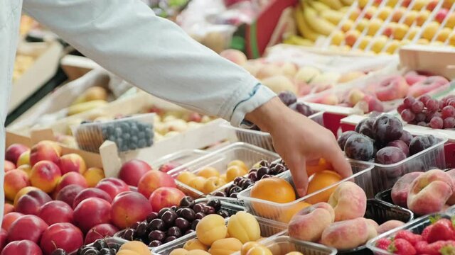 Handheld close up of male hand choosing fresh tangelo at market