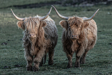 Doppelt hält besser