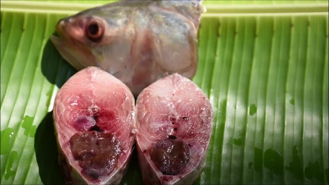 Fresh Hilsa Fish Pieces Cross Sectionally Cut in a banana leaf for cooking