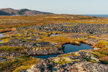 The rocky beach on the coast of the Barents Sea in the north of Russia.
Russian polar region, Kola Peninsula, overlooking the Barents sea the Arctic ocean, Murmansk oblast