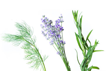 Fototapeta na wymiar Three types of aromatic herbs looking like aerial flowers