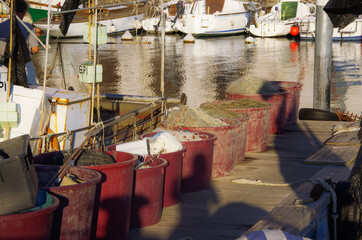 Detailed view of fishing port, nets and fishing needs . High Quality photo 