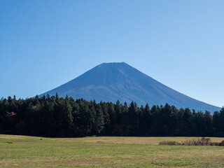 春の富士山