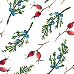 Watercolor hand painted seamless pattern with juniper and rose hip branches with berries on white background. Floral forest pattern is perfect for textile, stationery or wrapping paper.