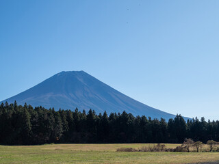 春の富士山