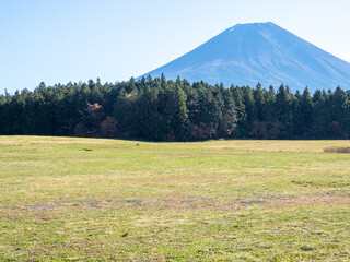 春の富士山