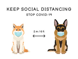 Coronavirus infection spreading prevention information sign with pets wearing protective face masks. Akita dog and german shepherd. Inscription Keep social distancing. Stop covid-19
