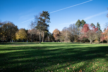 Blick über einen Friedhof im Herbst