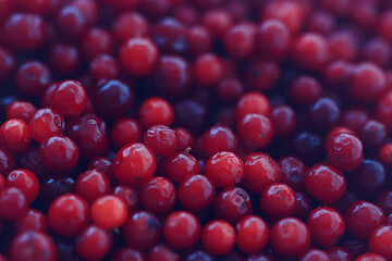 texture cranberries red berries fresh northern vitamins abstract background