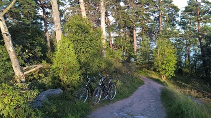 Fahrräder, Wald, Sommer, grün