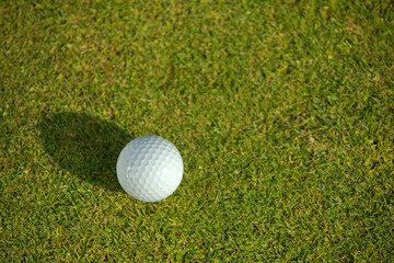 Elevated view of golf ball on grass