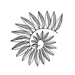A graceful twisted branch with leaves. Black and white hand-drawn image. Tracing. Isolated on white
