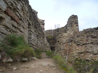 Koporye Citadel 2011