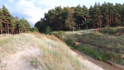 Fototapeta premium An der Ostseeküste zwischen Litauen und Lettland 10