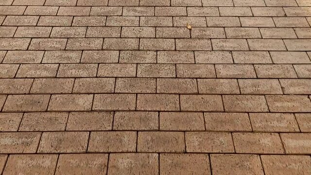 POV walk along bouwn clinker path at city street in a park on autumn with fallen leaves. View from the top of first person on the stone pavement.