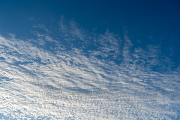 Fototapeta premium 秋の朝の空