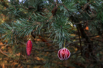 Christmas decorations Christmas toys on a green pine tree in the forest without snow on a warm Sunny day. Decorated Christmas tree for the holiday on a natural background. Christmas without snow