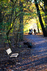 Bench in park Kralingse Bos in Rotterdam with a family in the background in autumn